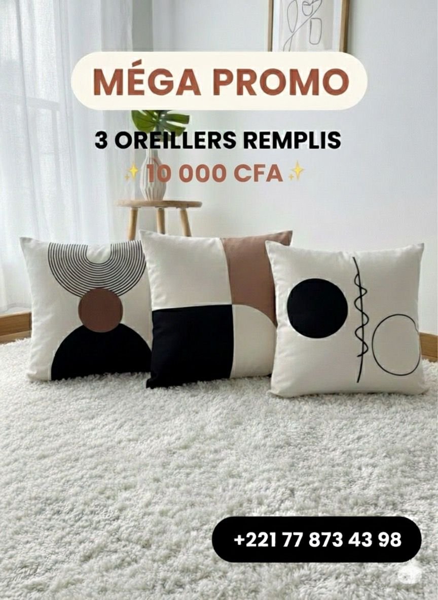 WhatsApp Image 2025-12-04 at 12.56.21 (4) Lot de 3 oreillers déjà remplis – Image 1